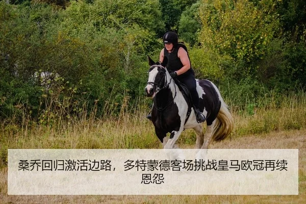 桑乔回归激活边路，多特蒙德客场挑战皇马欧冠再续恩怨
